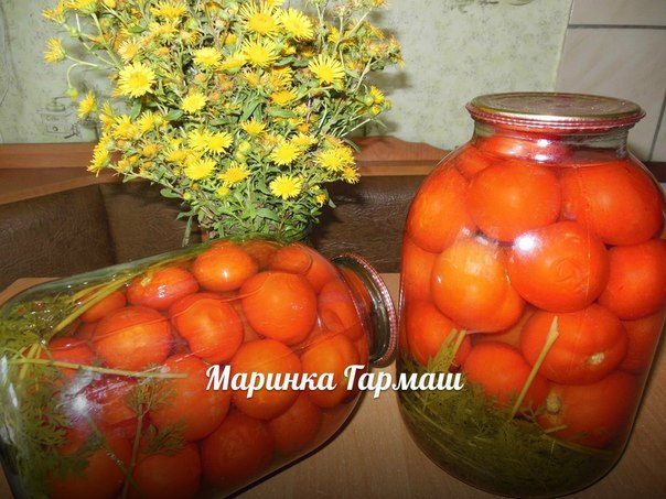 АРМЯНСКИЕ ПОМИДОРЫ С МОРКОВНОЙ БОТВОЙ | Шустрый Повар | Фотострана ...