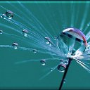 ���� �����, �����������, 63 ���� - ��������� 2 ���� 2015