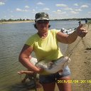 ���� �������, ������� - ��������� 24 ������� 2015 � ������ ���� ����������