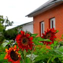 ���� Artyom, ������, 43 ���� - ��������� 30 ���� 2015
