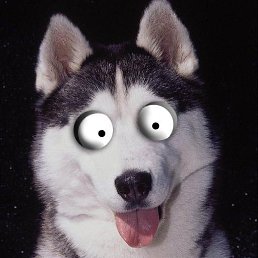 ���� ������, ������� - ��������� 8 ��� 2015