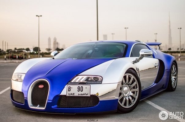 Bugatti Veyron, 200511.   W16/4 Quad-Turbo (7993 )  1 001 ..  ...