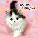 ���� ������, ��������, 59 ��� - ��������� 26 ���� 2015 � ������ ���� ����������