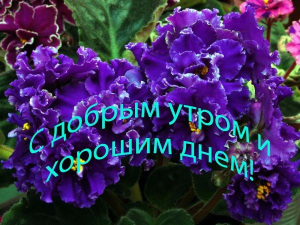    !!! - 5  2015  07:33
