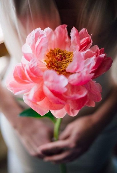    ,         ,   ... - 3