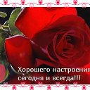 ���� ������, �����, 63 ���� - ��������� 10 ���� 2015 � ������ �������� ��������