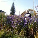 ���� ����, ����� - ��������� 20 ��� 2015