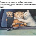 ���� ������, ������, 37 ��� - ��������� 4 ��� 2015