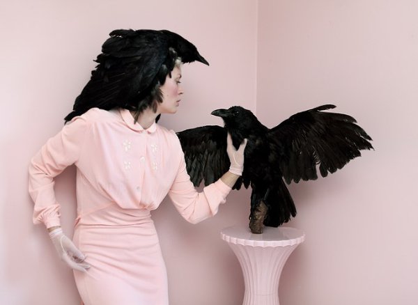Аня Ниеми (Anja Niemi) — норвежский fine-art фотограф. Снимает причудливые фотографии, героем ... - 5
