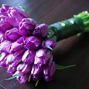 ���� �����, �����, 47 ��� - ��������� 27 ������ 2015 � ������ ������ ��������