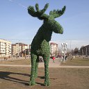  ,  , 41  -  28  2015    