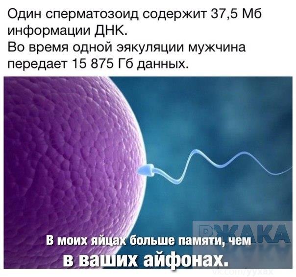 �������� ������ � ������ - 3 ���� 2015 � 19:20