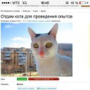 ���� ������, ���������, 44 ���� - ��������� 15 ��� 2015 � ������ ������ ��������