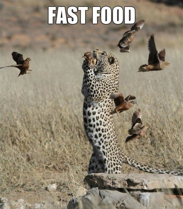  | English for everyone - 21  2015  10:03