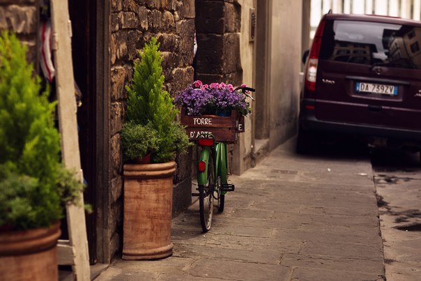    :) #Florence - 6