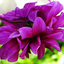 ���� ������, �����-���������, 64 ���� - ��������� 5 ��� 2015 � ������ ������ ��������