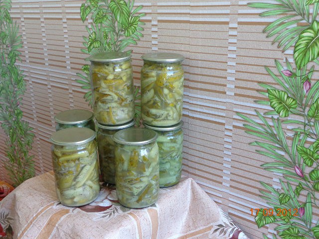   :       .     ... - 3