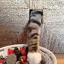 ���� ����, ������ - ��������� 26 ������ 2015 � ������ ����������