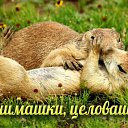 ���� �������, ������ - ��������� 6 ��� 2015 � ������ �������� ��������