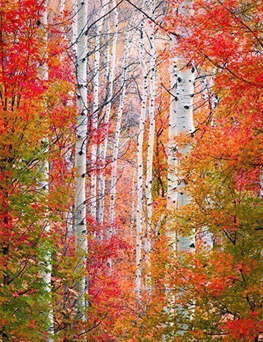   |  |  - 30  2015  22:40 - 3