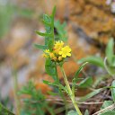 ���� ���������, ����������, 77 ��� - ��������� 2 ���� 2015 � ������ ���� ����������