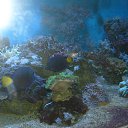 ���� ���������, �����, 27 ��� - ��������� 14 ���� 2015 � ������ ���� ����������