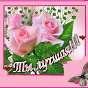 ���� ����, ��� - ��������� 27 ���� 2015 � ������ ���� ����������