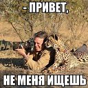 ���� ���, ������, 38 ��� - ��������� 16 ���� 2015 � ������ ��������.�