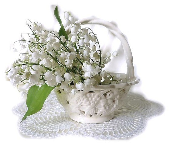 �� ������� ������ ������� , � ��� �� , ��� � ���� ���������� , ������ �������� ������ ��������� , ...