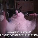 ���� ������, �����-���������, 23 ���� - ��������� 15 ���� 2015