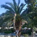 ���� Nikolay, �����, 46 ��� - ��������� 3 �������� 2015 � ������ ���� ����������