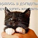 ���� Vova, ����� - ��������� 30 ���� 2015 � ������ ���� ����������