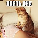 ���� ���������, �����, 54 ���� - ��������� 27 ���� 2015 � ������ ���� ����������