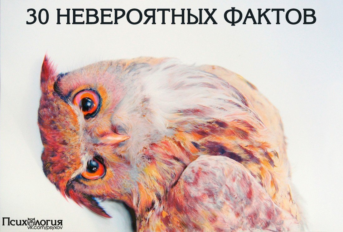 30 НЕВЕРОЯТНЫХ ФАКТОВ, КОТОРЫЕ ВЫ НЕ ЗНАЛИ.1. Параллельные линии в космосе пересекаются.2. Фэн-шуй ...