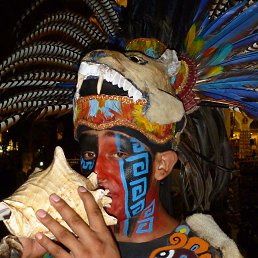 ��������, ���������, 33 ����