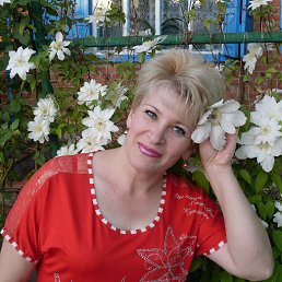 ���� ����, ����������