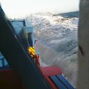 ���� �����, ������ �������� - ��������� 8 ������� 2015 � ������ ���� ����������