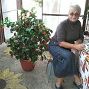 � ������ � �����. �� ������� ���������� ������