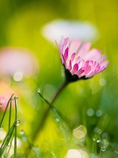 ������� ����� ���� � ���, � ��� ������ ������. - 2