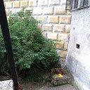 ���� ���, �����, 62 ���� - ��������� 11 �������� 2015 � ������ ���� ����������