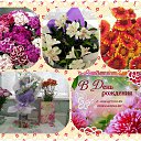 ���� ������, ������� - ��������� 24 ���� 2015 � ������ ������ ��������