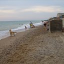 ׸���� ����, ���� �� ������� �����