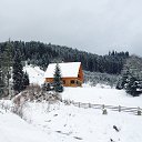 ���� ������, �����-��������� - ��������� 16 ��� 2015 � ������ ����� (���� vs ����)�