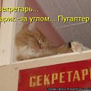 ���� �������, ���������� �����, 57 ��� - ��������� 15 ���� 2015