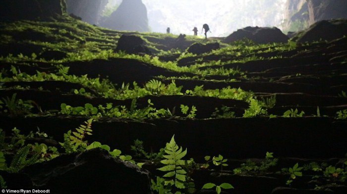     Hang Son Doong, .Hang Son Doong -  5- ,  ... - 3