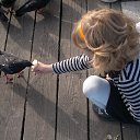 ���� ������, ������, 44 ���� - ��������� 1 ���� 2015 � ������ ���������