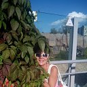 ���� �����, ���� - ��������� 9 �������� 2015 � ������ ���� ����������