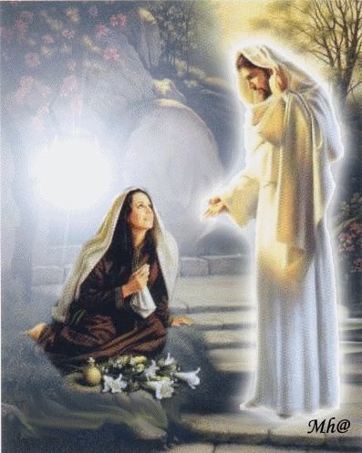 !  !     .    ,   ,  . ...