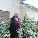  ,  -  11  2015     ...