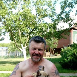 ���� ���������, ��������, 53 ���� - ��������� 21 ���� 2015